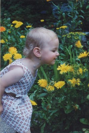 Image has been resized