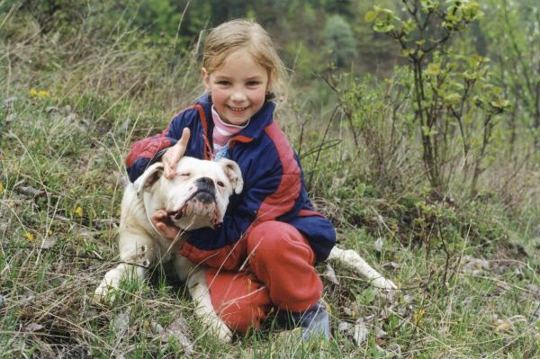 Image has been resized